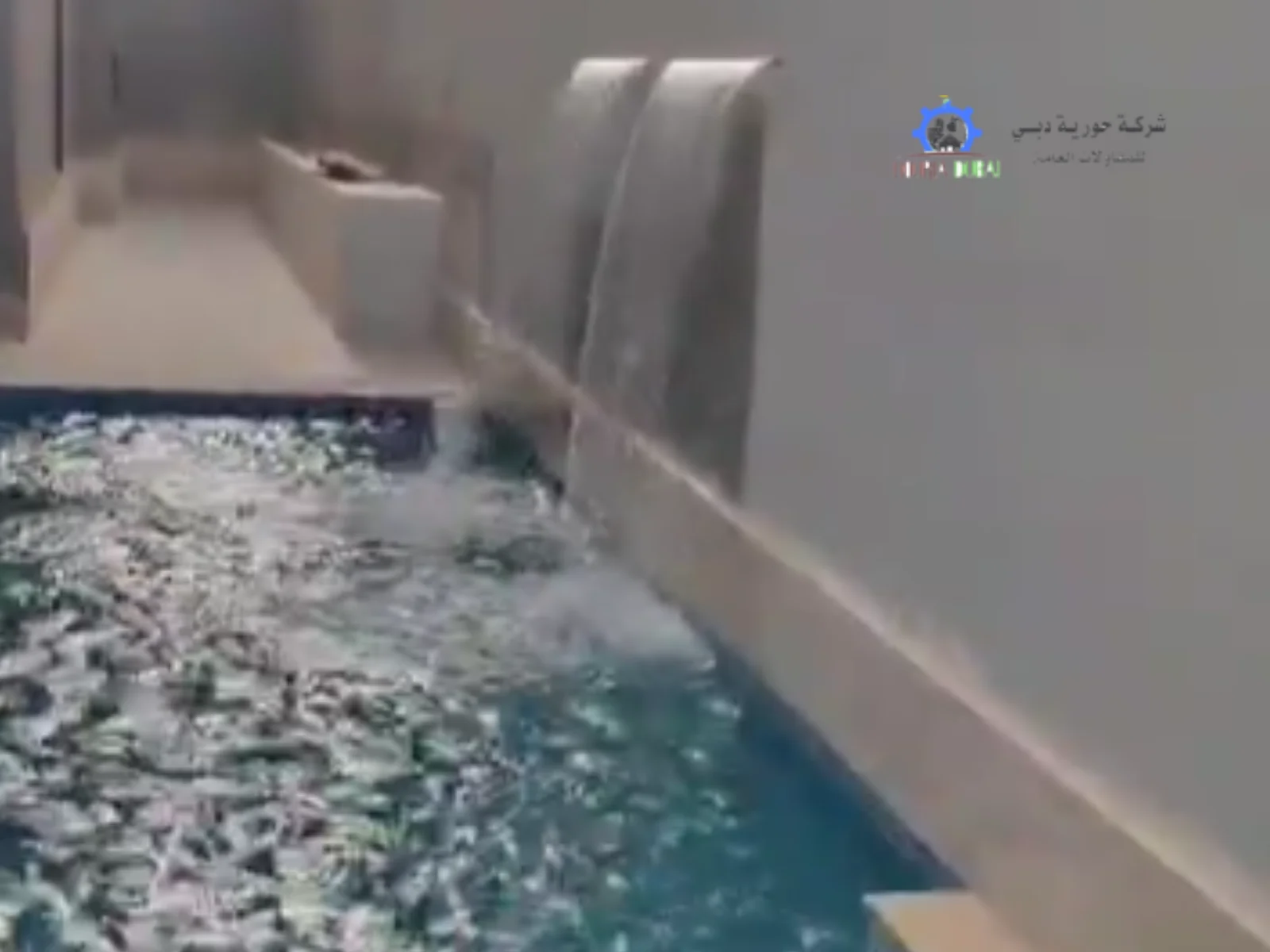 تنفيذ مسابح بالرياض