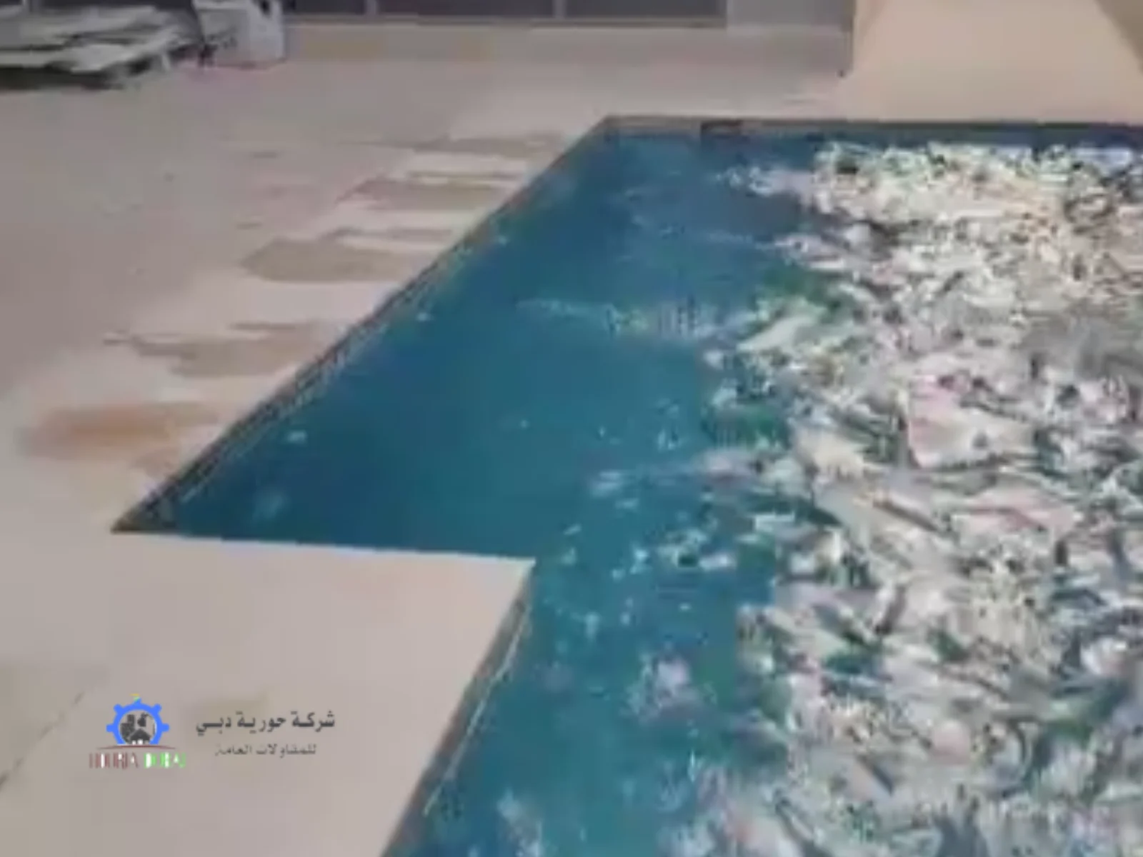 نصائح للحفاظ على المسابح
