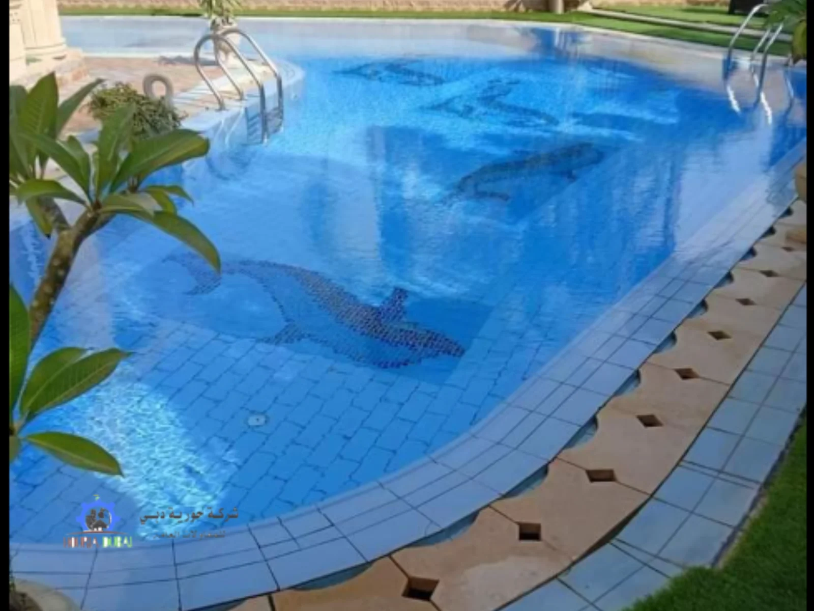 مسبح الجامعة | دليل شامل لإنشاء وتشغيل وصيانة المسابح الاحترافية في الرياض 1 ما هو مسبح الجامعة؟